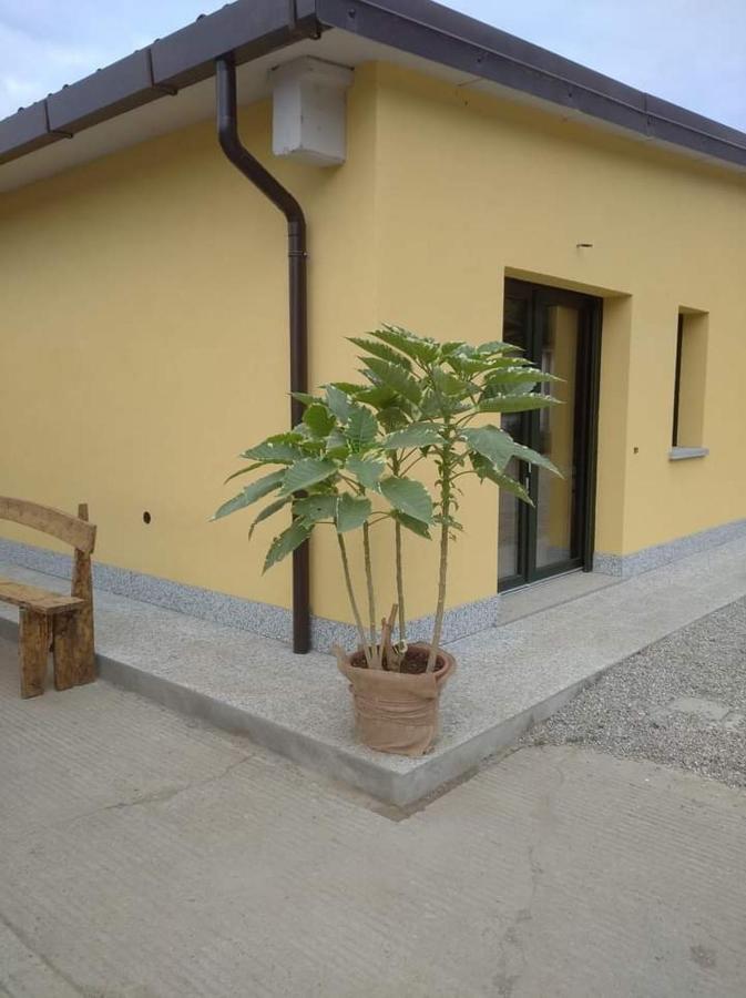 Azienda Agrituristica Scotti Somma Lombardo Extérieur photo